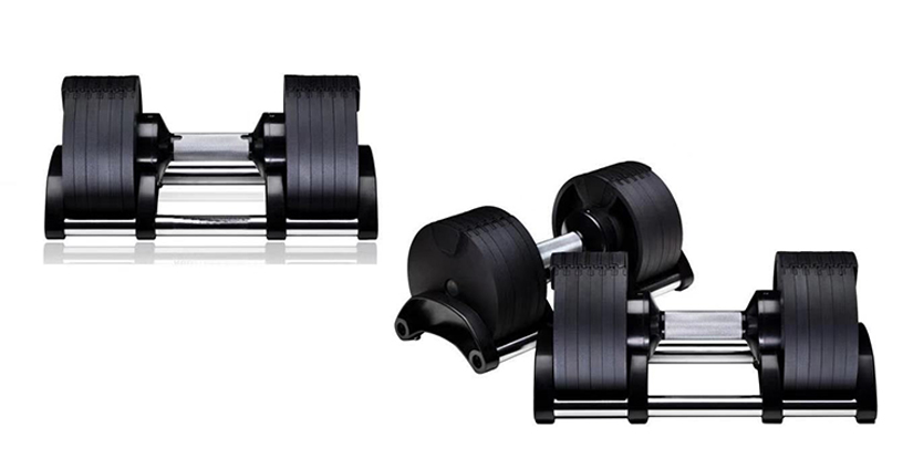 2 adjustable dumbbells