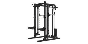 wall mounted fold up squat rack