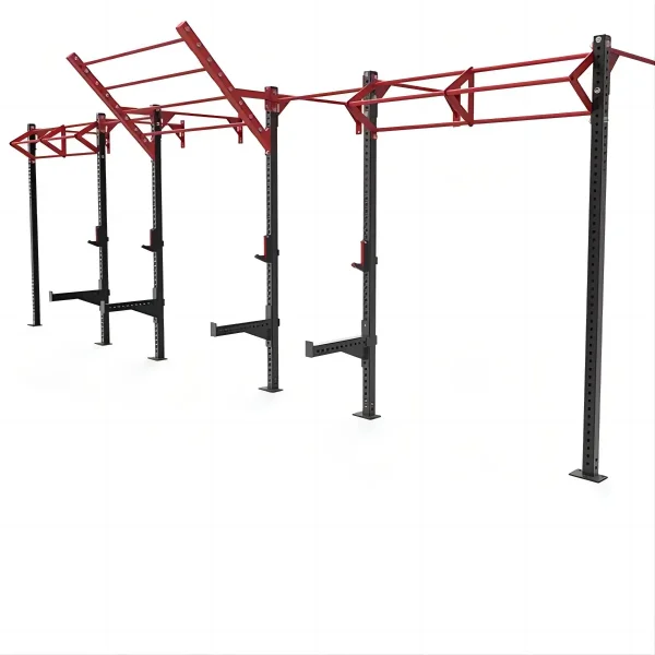 Wall Mounted Squat Rack Pull Up Rig OEM