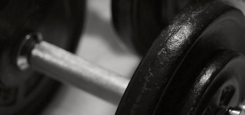 What Exercises Can You Do With 17 Barbells